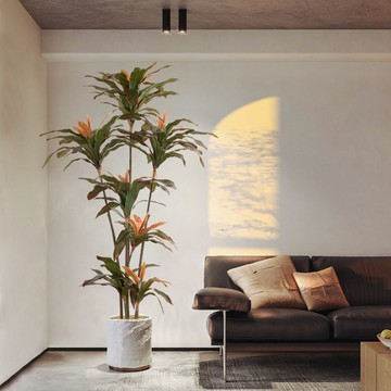 ??紅鐵樹仿真綠植室內高端輕奢大型落地擺件客廳仿生假樹綠植物盆栽