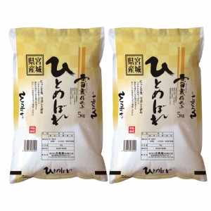 送料無料 宮城 雪蔵仕込 ひとめぼれ 5kg×2   お米 お取り寄せ グルメ 食品 ギフト プレゼント おすすめ お歳暮