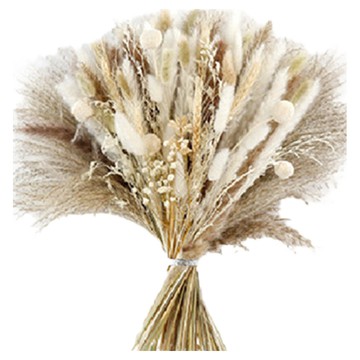 KUIBAO 快豹生活 簡約素胚花瓶附紙箱 乾燥花029  杏色  230g