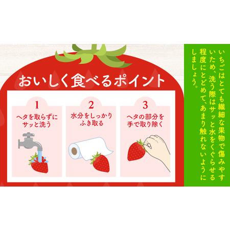 ふるさと納税 いちご 阿波ほうべに 紅ほっぺ 2種 食べ比べ セット 30粒 約900g 鳥羽農園《1月上旬-3月下旬頃発送予定》徳島県 上板町 苺 徳島県.. 徳島県上板町