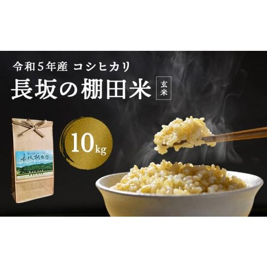 ふるさと納税 富山県 氷見市 令和5年産 富山県産 コシヒカリ 長坂の棚田米 10kg（玄米） ＜9月末以降順次発送＞ 富山県 氷見市 こしひかり 棚田