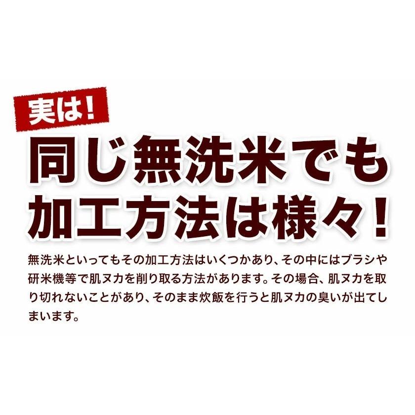 米 10kg 送料無料 無洗米 5kg ×2袋 お米 国産 白米 令和4年産 ブランド米 6割使用 ふるさと無洗米 熊本 7-14営業以内発送予定(土日祝除)