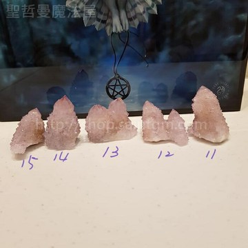【土桑展精選寶物】仙人掌水晶191203~11-15號(Cactus Quartz) ~南非