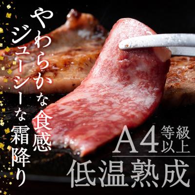 ふるさと納税 佐伯市 おおいた和牛 上カルビ・上ロース焼肉セット (合計450g・上カルビ250g 上ロース200g)