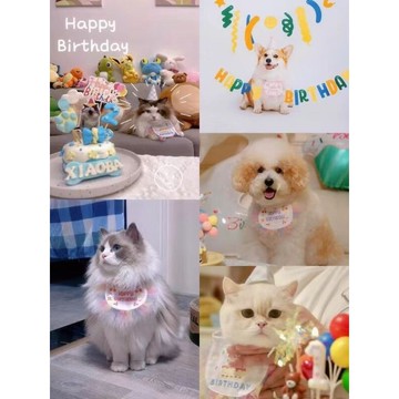 寵物生日配件 生日配件套裝 生日帽 貓咪生日 狗狗生日 狗狗生日帽 貓咪生日帽 寵物生日領巾 派對生日快樂 領巾 圍兜
