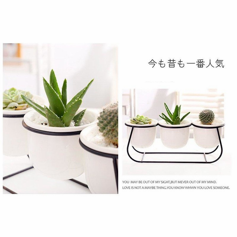 サボテンのポット(受皿付き)：Ｓ】 植木鉢 プランター 多肉植物 寄せ植え