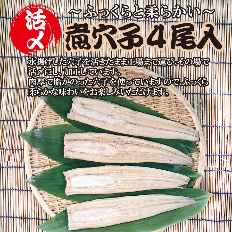 煮穴子　あなご　冷凍　4尾　寿司　丼ぶり  中国産