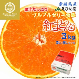 [予約 12月1日-12月30日の納品] 紅まどんな 3kg 3L-5L 愛媛県 JAえひめ南 化粧箱 冬ギフト お歳暮 御歳暮