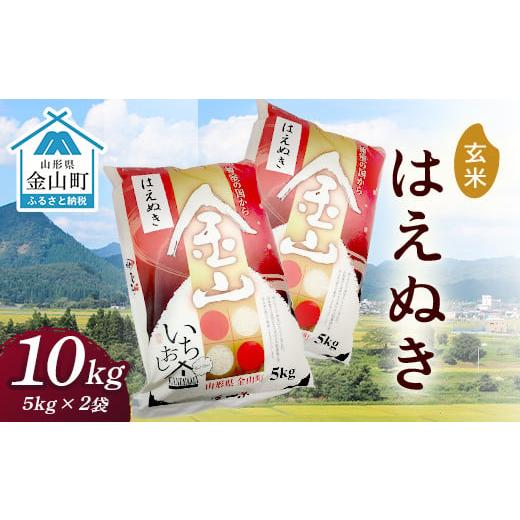 ふるさと納税 山形県 金山町 2023年産新米 金山産米「はえぬき」（5kg×2袋） 計10kg 米 お米 白米 ご飯 玄米 ブランド米 はえぬき 送料無料 東北 山…