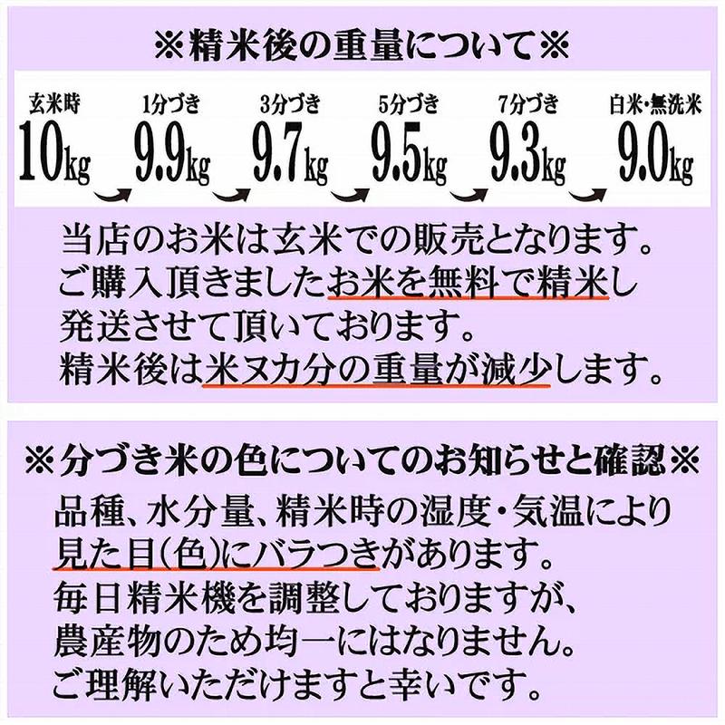 雪若丸 新米 米 玄米 5kg 令和5年産 山形県産 精米無料 白米 無洗米 分づき 当日精米 送料無料