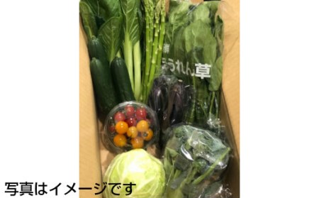  イーハトーヴ野菜C  もりもりセット  12～15品  詰め合わせ 　予約受付2024年3月から発送開始