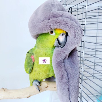 【現貨】溫馨角落鸚鵡毛毯 保暖保溫披肩 鳥窩鳥巢鳥床鳥房子 鸚鵡保暖披肩 擋風布