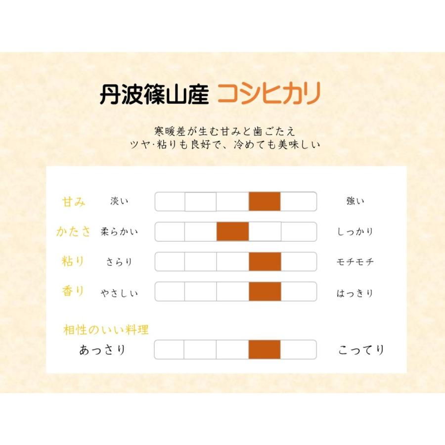 コシヒカリ 米 10kg 白米 丹波篠山産 送料無料 一宮精米 5kg×2 令和5年