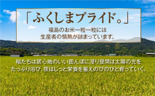   田村市産 ひとめぼれ20㎏ 5kg × 4袋 ギフト 贅沢 のし対応 １週間以内発送 福島 ふくしま 田村 贈答 美味しい 米 kome コメ ご飯  ブランド米  精米したて お米マイスター 匠 食味鑑定士 安藤米穀店 N10-RM27-H20