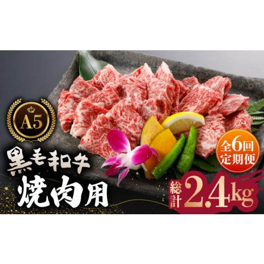 ふるさと納税 熊本県 山鹿市 A5 黒毛和牛 焼肉用 約400g 黒毛和牛 焼き肉用 焼肉 焼き肉 熊本県産 [ZBO030]