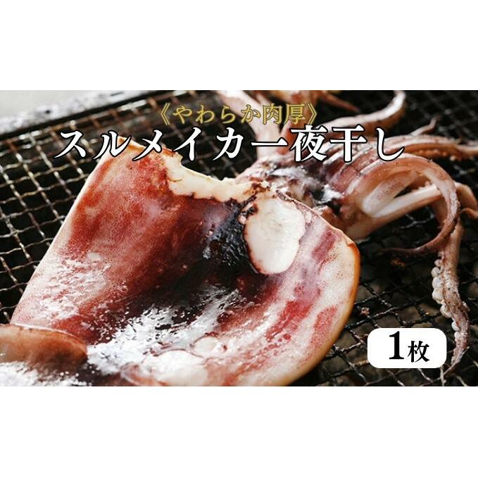 柔らか肉厚の スルメイカ 一夜干し 1枚[ 国産 干物 肴 つまみ イカ