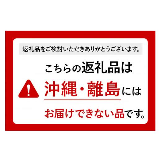 ふるさと納税 秋田県 仙北市 ＜新米＞《定期便10ヶ月》秋田県産 あきたこまち 10kg (5kg×2袋) ×10回 令和5年産 発送時期が選べる 周期調整OK 隔月…