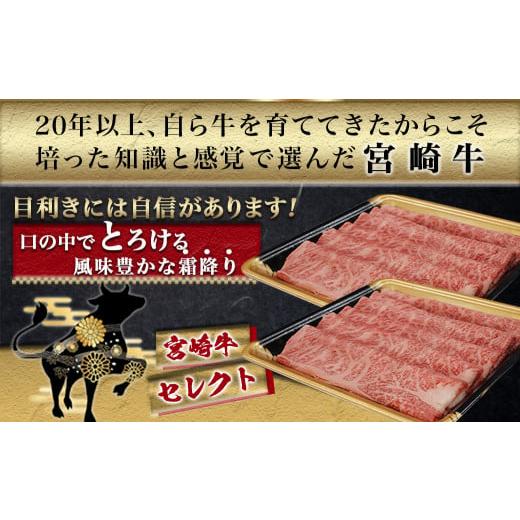 ふるさと納税 宮崎県 都城市 宮崎牛すきしゃぶ700g_AC-6505-2402_(都城市) 牛肉 肩ローススライス(350g×2) 計700g すき焼き肉 …