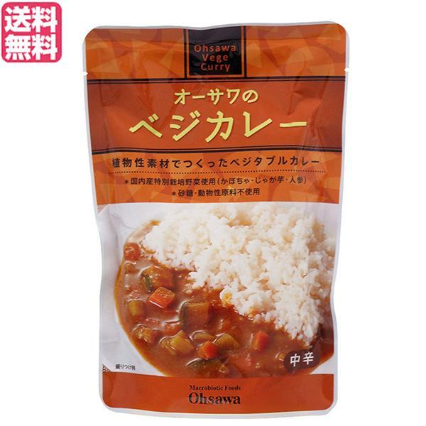 カレー レトルト ベジタリアン オーサワのベジカレー（中辛）210g 送料無料