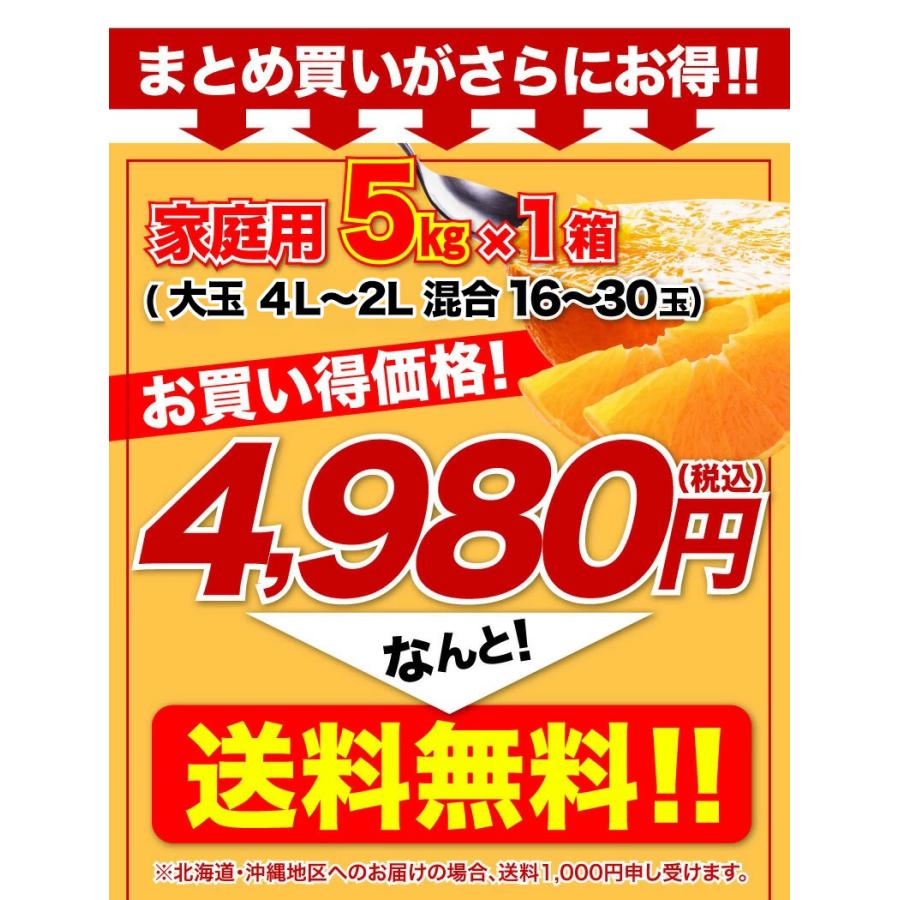 早期予約 みかん 愛媛県産 愛果 あいか ご家庭用 5kg 4L〜2Lサイズ 混合 20〜25玉 送料無料 J常