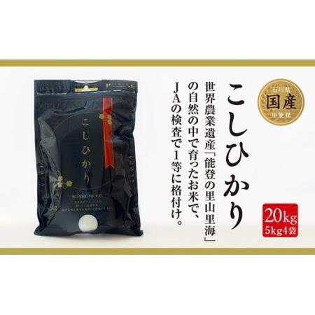 ふるさと納税 安全・安心な美味しい 中能登産 能登米コシヒカリ 石川県中能登町