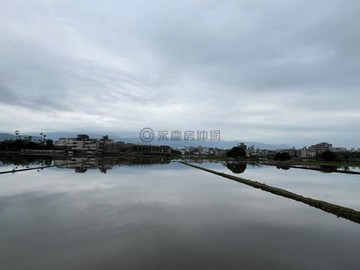 陳遠凰~宜蘭運動公園宜科一路旁超便宜農地｜宜蘭縣宜蘭市珍珠段