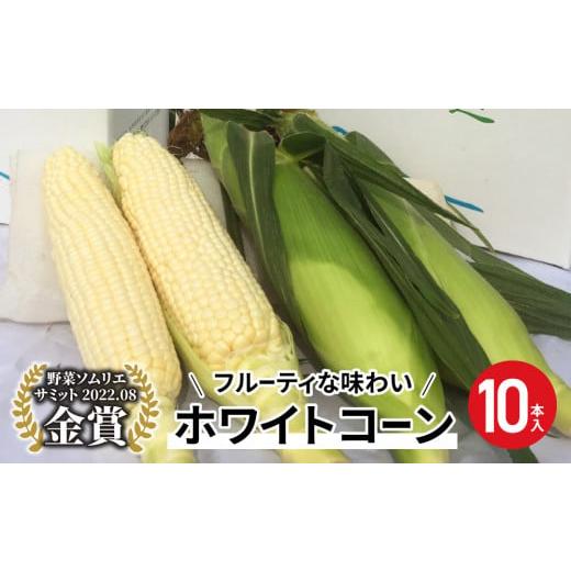 ふるさと納税 長野県 東御市 東御市産とうもろこし（ホワイトコーン）10本 スイートコーン※2024年７月中旬頃〜2024年９月上旬頃に順次発…