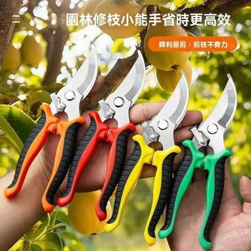 免運💒臺灣熱銷🐬高顏值園藝剪刀修枝剪省力修剪樹枝果樹竹籤園林花卉專用花藝剪子
