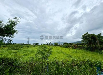 台東卑南方正農地釋迦園｜有水有電可蓋資材室｜台東縣卑南鄉利家段