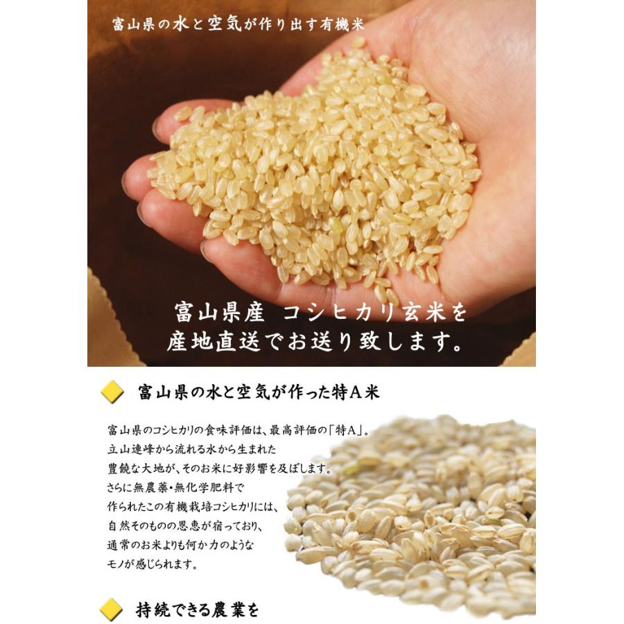 令和５年産 新米 有機栽培米　「コシヒカリ」玄米　約１０kｇ　＊送料込