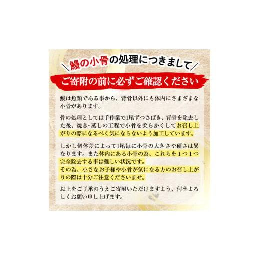 ふるさと納税 鹿児島県 志布志市 鹿児島県産 伊崎田のうなぎ蒲焼 特大＜190g以上＞× 5尾(計950g以上) c5-001