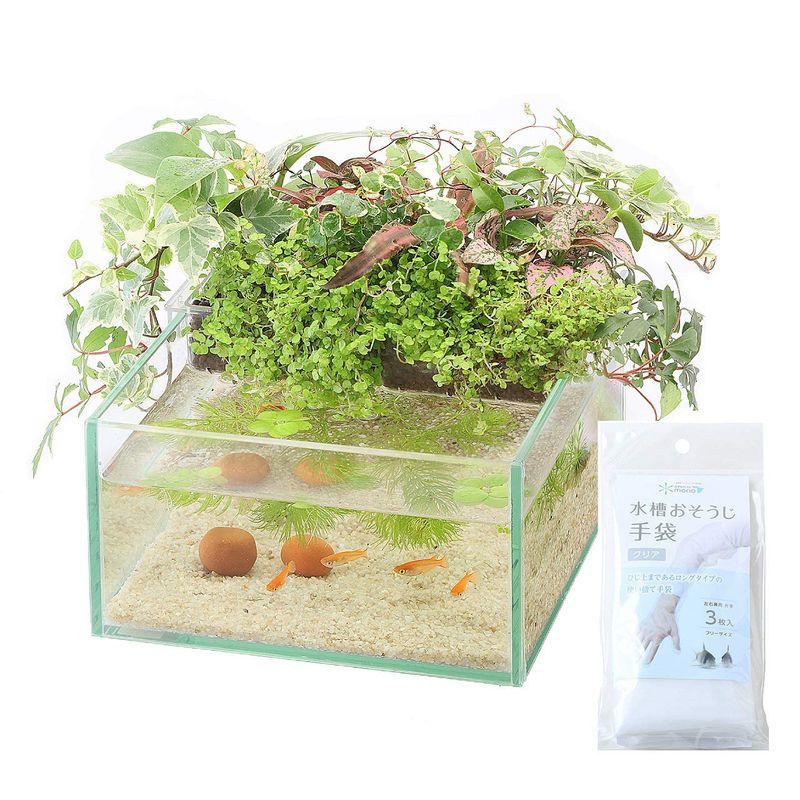 割引あり コトブキ60cmアクアポニックス水槽セット - 魚用品・水草