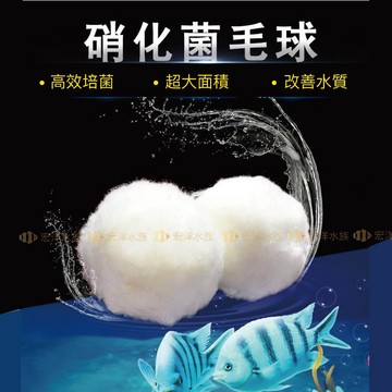 【宏洋水族】硝化魔球、硝化毛球●過濾髒汙且兼具培菌效果(過濾棉白棉生化棉硝化菌上部過濾底部過濾外掛式過濾圓筒過濾陶瓷環