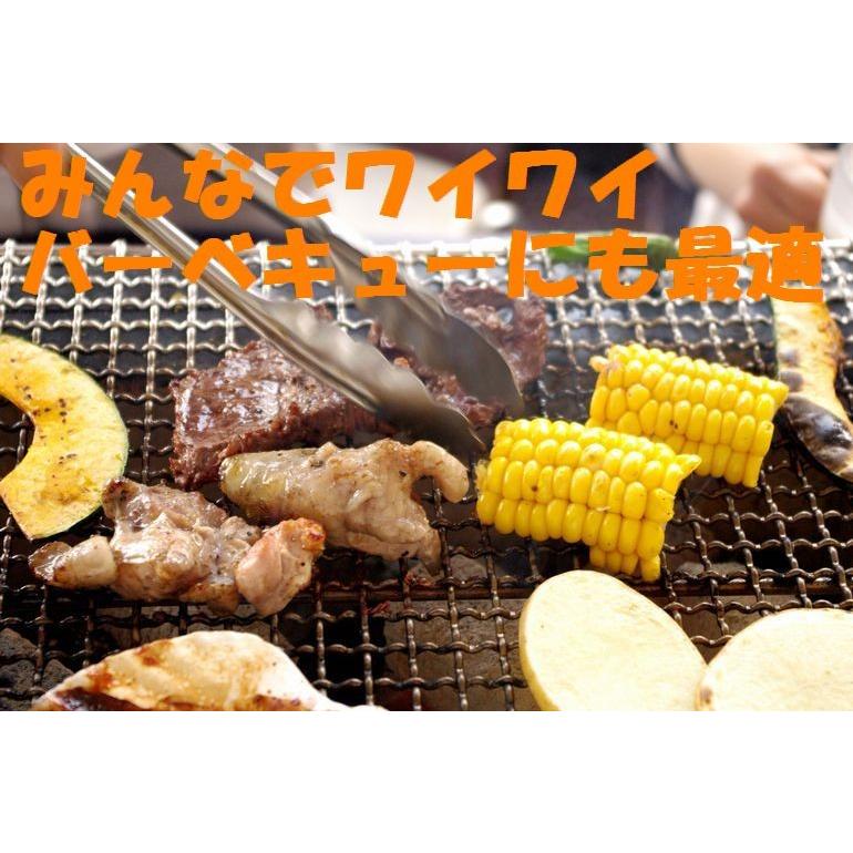 お歳暮 牛肉 リブロース 黒毛和牛 焼肉 300g 送料無料