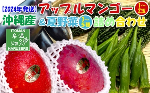 沖縄産　アップルマンゴー(1～2玉)＆夏野菜(3～5種)の詰め合わせ