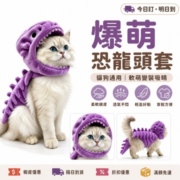 恐龍骨架頭套 貓狗通用 霸王龍玩偶帽子 搞怪毛絨玩具 寵物變裝拍照道具 萬聖節派對 裝扮禮物