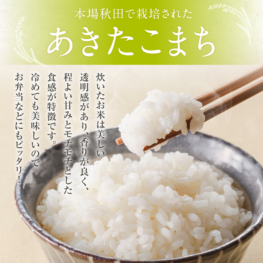 定期便 令和5年産 あきたこまち 精米 10kg（5kg×2袋）3ヶ月連続発送（合計 30kg）秋田県 男鹿市