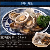 漁師からのうまいもん定期便 海鮮 魚 刺身 マグロ カツオ 刺身