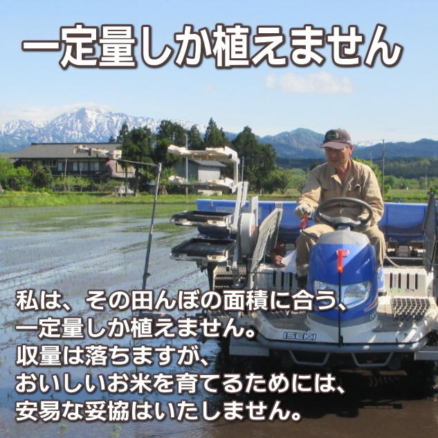 玄米 農薬無使用 コシヒカリ 5kg   希少米 合鴨農法 新潟 岩船産 令和5年産 新米   人気 おいしい 新潟米 こしひかり 送料無料