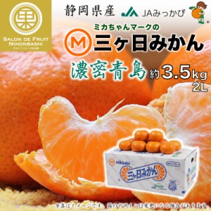 [予約 2024年2月中下旬から発送] 三ケ日みかん 青島 濃蜜青島 約 3.5kg 2Lサイズ 静岡県産 産地箱 濃密青島 JAみっかび 三ヶ日みかん 青