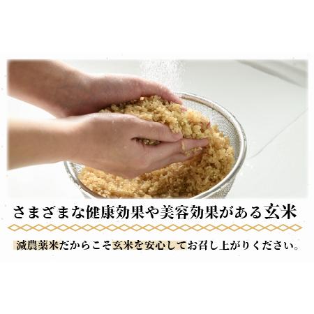 ふるさと納税 ワルツ農場のコシヒカリ 玄米 5kg 特別栽培米減農薬 有機肥料使用  ／ お米 .. 福井県あわら市