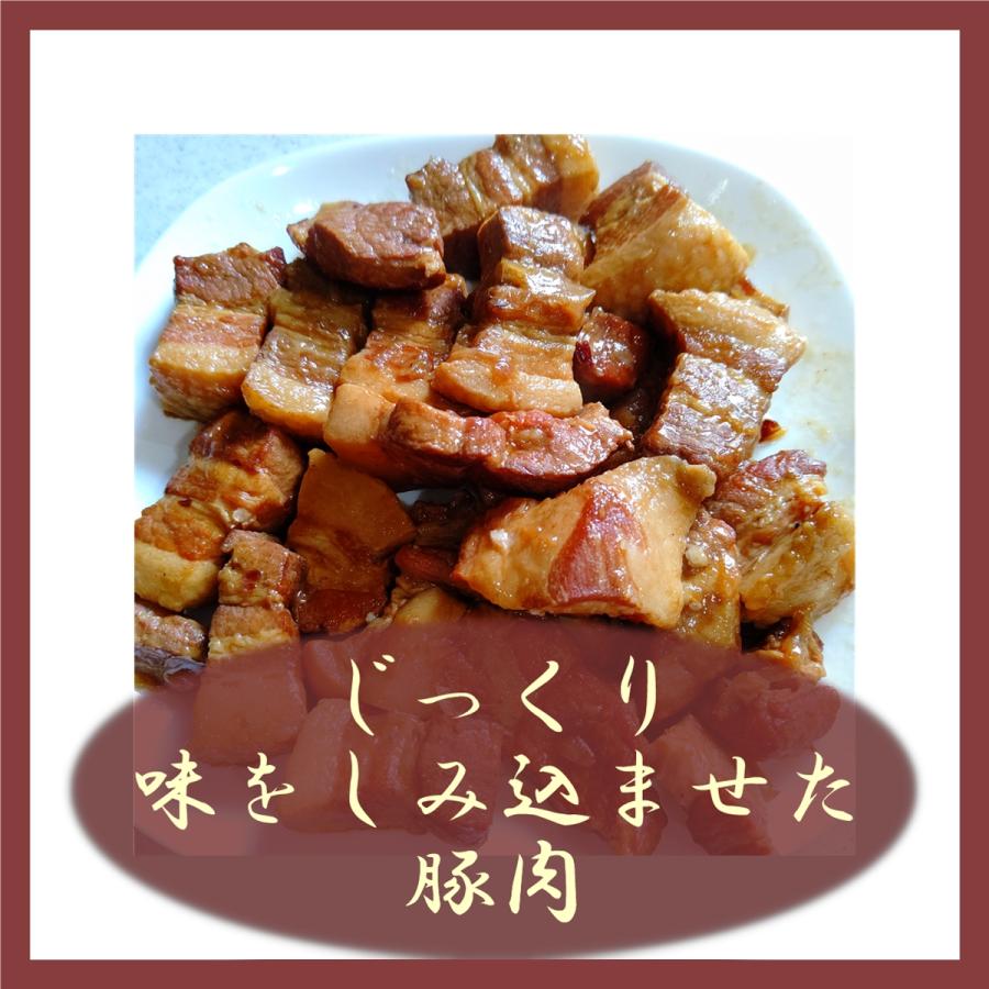 本格中華 台湾 ちまき  (肉粽) 5個 食べたら笑顔に！ 手作り 冷凍 お弁当 夜食にも