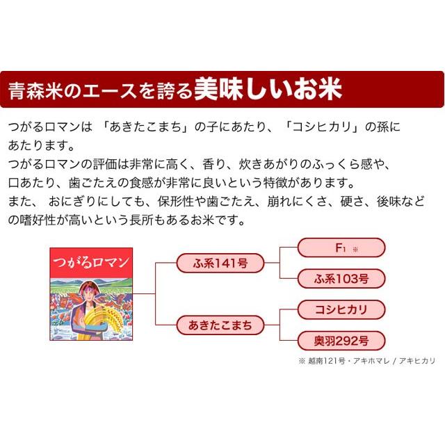 新米 令和5年産 無洗米 5kg 減農薬米 青森県産 つがるロマン ひろさき指定  米 お米 送料無料