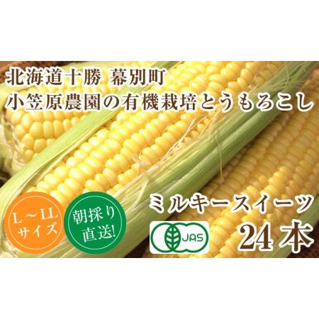 ふるさと納税 小笠原農園の有機とうもろこし「ミルキースイーツ」24本2024年8月発送開始 北海道幕別町