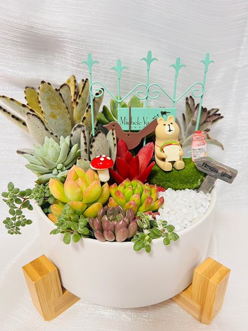 木架白盆客製組盆(小) 開幕 新居落成 升官喬遷 婚禮交換禮