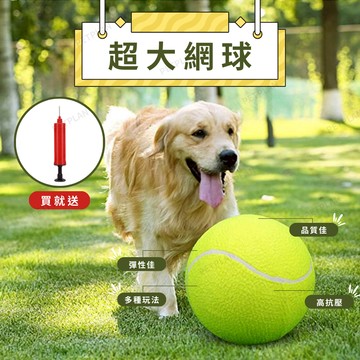 ☀️貓狗市集☀️寵物玩具 超大網球 超Ｑ 贈打氣機 簡單收納 可洗曬