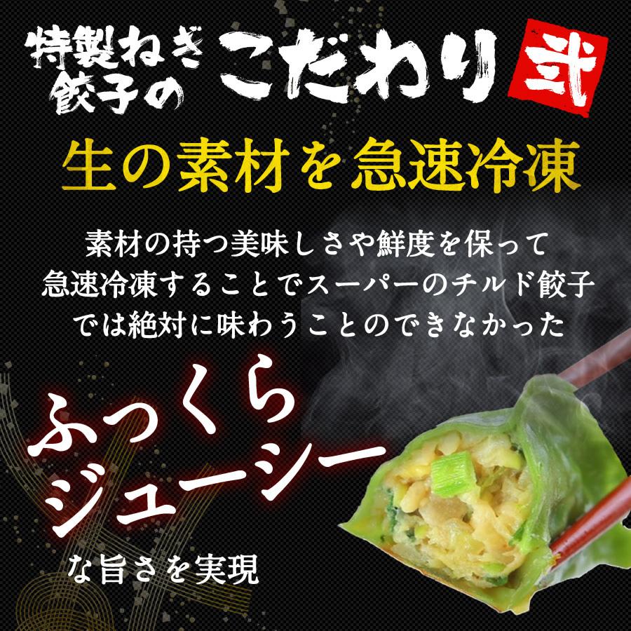 餃子 取り寄せ 送料無料 業務用 冷凍 生餃子 国産素材 時短 お手軽 簡単 大容量 餃子計画 緑皮九条ねぎ餃子100個入り