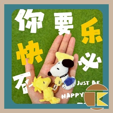 【現貨】 SNOOPY 多彩日常毛絨胸章 盲袋 一中盒16入 史努比 玩具 盒玩 愛蛋客