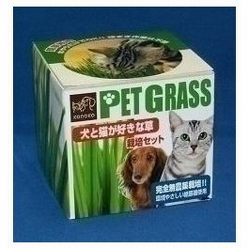 楽天1位 犬と猫が好きな草の栽培用土 ３ｌ 猫草 Discoversvg Com