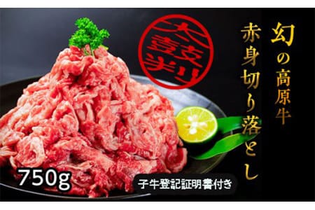 『大川原高原牛』 赤身切り落とし　750g